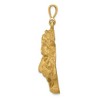 Black Bow Jewelry 14k Yellow Gold Large Tiger's Head Pendant - 2 of 4