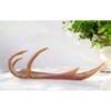 HomeRoots 12" Brown Antler Resin Serving Tray - 2 of 4