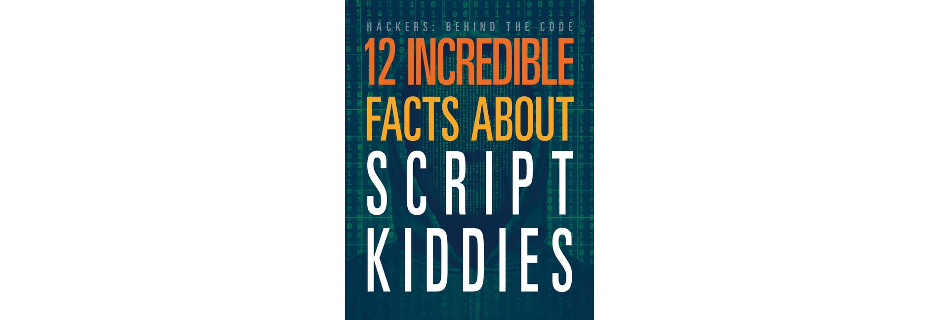 12 Incredible Facts about Script Kiddies - (Hackers: Behind the Code) by  Meghan Hatalla (Paperback)
