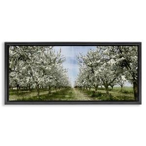 Stupell Industries Blooming White Tree Orchard, 25" x 11" - 1 of 4