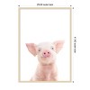 Amanti Art Baby Pig by Kathrin Pienaar Wood Framed Wall Art Print - 3 of 4