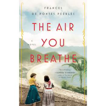 The Air You Breathe - by  Frances de Pontes Peebles (Paperback)