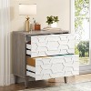 Tribesigns 2 Drawer Lateral File Cabinet, Office Filing Cabinet - 2 of 4