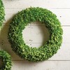 Plum & Post Boxwood Wreath 24" - 3 of 3