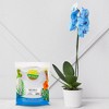 Soil Sunrise Horticultural Grade Rice Hulls; for House Plants and Chicken Bedding - 2 of 4