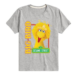 Boys' - Sesame Street - Big Bird Photo Short Sleeve Graphic T-Shirt - 1 of 4