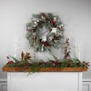 Northlight Real Touch™ Snowy Pine Owls and Berries Artificial Christmas Wreath - 34" - Unlit - 2 of 4