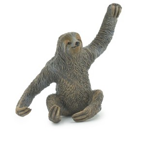 Collectible Wildlife Gifts | Sloth, Three Toed, Museum Quality, Hand Painted, Rubber Primate, Realistic Toy Figure, Model, Gift,   4"   CH475 BB153 - 1 of 4