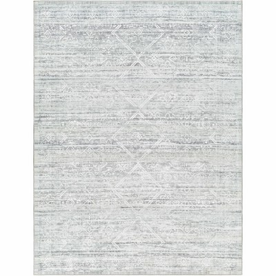 Hauteloom Blake Washable Area Rug