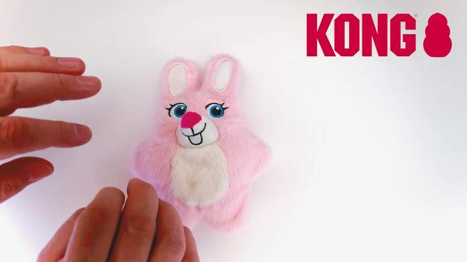 KONG Snuzzles Kiddos Bunny Dog Toy - S, 2 of 5, play video