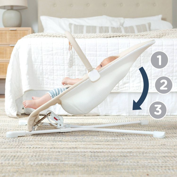Baby Delight Highland Portable Bouncer, 3 of 5