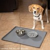 Leashboss Elevated Slow Feed Bowl - Gray - 1.5 Cup - 2 of 4