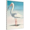 Amanti Art Boca Bird by Kathleen Broaderick Canvas Wall Art Print Framed 23 x 33-in. - 2 of 4