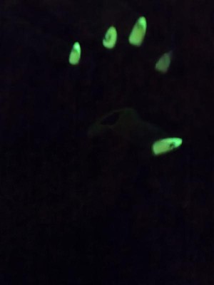 Guest review image 2 of 2, zoom in