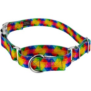 Country Brook Petz Martingale Dog Collar with Premium Buckle - Groovy Collection - 1 of 4