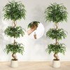 Whizmax 4/5/6ft Ficus Artificial Trees, Lifelike Faux Tree, Green Lush Fake Ficus Tree Artificial Plants for Living Room Indoor Outdoor Modern Decor - 4 of 4