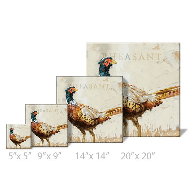 Sullivans Darren Gygi Pheasant Canvas, Museum Quality Giclee Print, Gallery Wrapped, Handcrafted in USA, 3 of 4