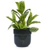 Set of 3 Modern Round Ceramic Planter Pots with Distinct Ribbed Design, Ceramic Flower Pots for Windowsills, Patio, or Garden–The Pop Home - 2 of 4