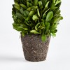 Plum & Post Boxwood Cone Topiary Drop-In 12" - 3 of 4