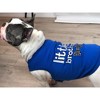 Parisian Pet 'Little Brother' Dog Shirt - Dog Sibling Shirt for Dogs & Cats, Blue - 4 of 4