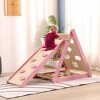 Funphix Pikler Climbing Set: Foldable Triangle and Slide Board - 2 of 4