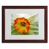 Trademark Fine Art - Kathie McCurdy 'Furnace Run Daffodil Large' Matted Framed - 2 of 3