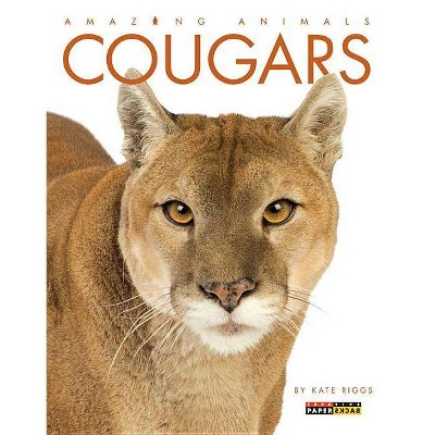 Cougars - (Amazing Animals (Creative Education Paperback)) by  Kate Riggs (Paperback)