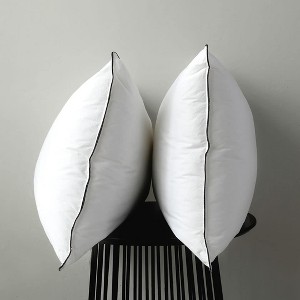Aghana Digitals Premium Comfort Microfiber Pillows - Soft, Breathable, Versatile Support for All - 1 of 3