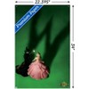Trends International Wicked - Teaser One Sheet Unframed Wall Poster Prints - 3 of 4