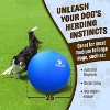 GoSports Medium to Large Dog Herding Ball with Bite-Proof Cover - 25 Inch Blue - 2 of 4