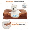 LOVMOR Memory Foam Pet Bed for Small Dogs & Cats with Washable Removable Cover Non-Slip Base Waterproof Liner Egg Crate Foam for Improved Sleep - image 4 of 4