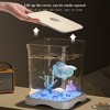 Upgraded Modern Minimalist Small Home Living Room Goldfish Tank, Suitable for Office Desks or Study Rooms, Decorative Ecological Fish Keeping - 4 of 4