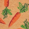 HomeRoots 17" X 29" Natural And Orange Easter Carrots Coir Outdoor  Door Mat - 4 of 4