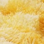 tie-dyed yellow