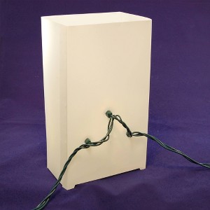 Lumabase 6ct Remote Controlled Battery Operated LED Luminaria Kit White - 1 of 4