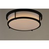 Maxim Lighting Rogue 2 - Light Flush Mount in  Black - 3 of 3