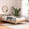Breezy Palm Cotton Comforter & Sham Set - Deny Designs - 2 of 4