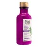 Maui Moisture Heal & Hydrate + Shea Butter Shampoo for Tight Curly Hair - 13 fl oz - image 3 of 4