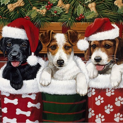 christmas stocking puppies