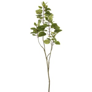 Vickerman 4' Artificial Cotinus Coggygria Branch: Faux Stems for Vase, Indoor Greenery Decor - 1 of 1