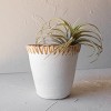 White Planter Terracotta with Woven Cane by Foreside Home & Garden - image 2 of 4