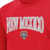 NCAA New Mexico Lobos Men's Crew Neck Fleece Sweatshirt - 3 of 3