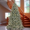 9 ft. Pre-Lit Snowy Harwich Artificial Christmas Tree, PowerConnect Dual Colored LED Lights, Plug-In - 2 of 3