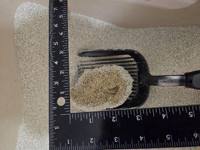 Guest review image 3 of 3, zoom in