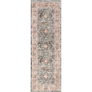Nuloom Caisyn Bordered Medallion Pet Friendly Machine Washable Area Rug - 1 of 4