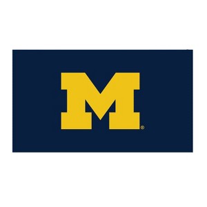 Evergreen Full Color PVC Mat, 16" x 28", University Of Michigan Indoor and Outdoor Home Decor - 1 of 4