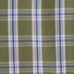 safari green check