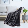 PiccoCasa 330 GMS Microfiber Polyester Luxury Flannel Fleece Soft Bed Blankets - 2 of 4