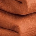 autumn orange