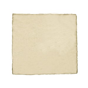 Unique Bargains Washable Polyester Place Mats Champagne 12 Pcs - 1 of 4